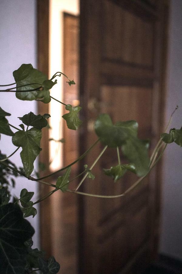 Ventspils Centra Apartamenti Exteriér fotografie