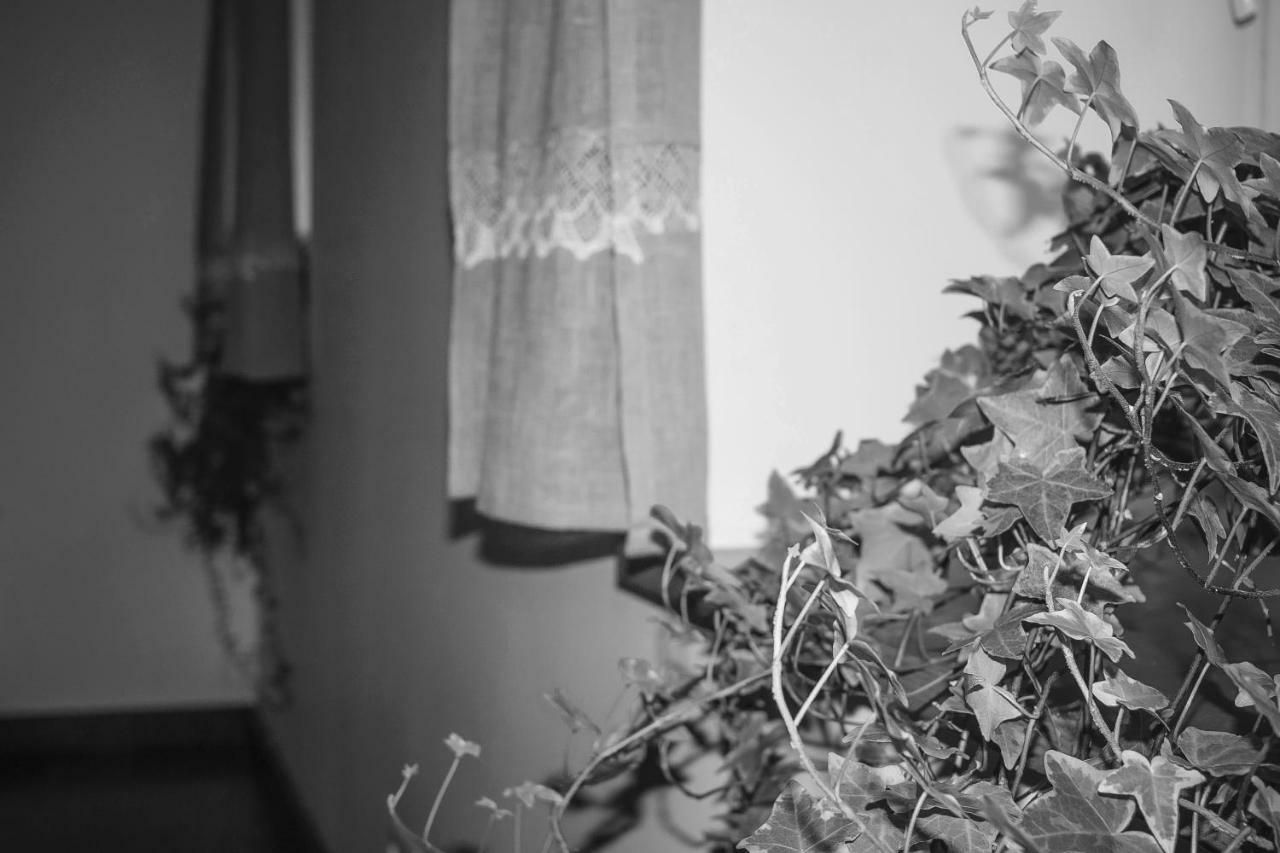 Ventspils Centra Apartamenti Exteriér fotografie